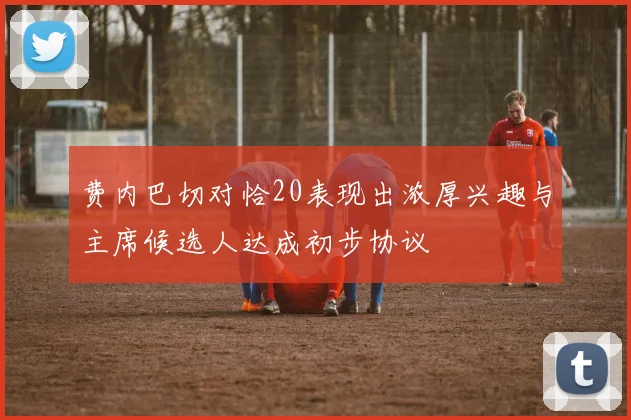 费内巴切对恰20表现出浓厚兴趣与主席候选人达成初步协议